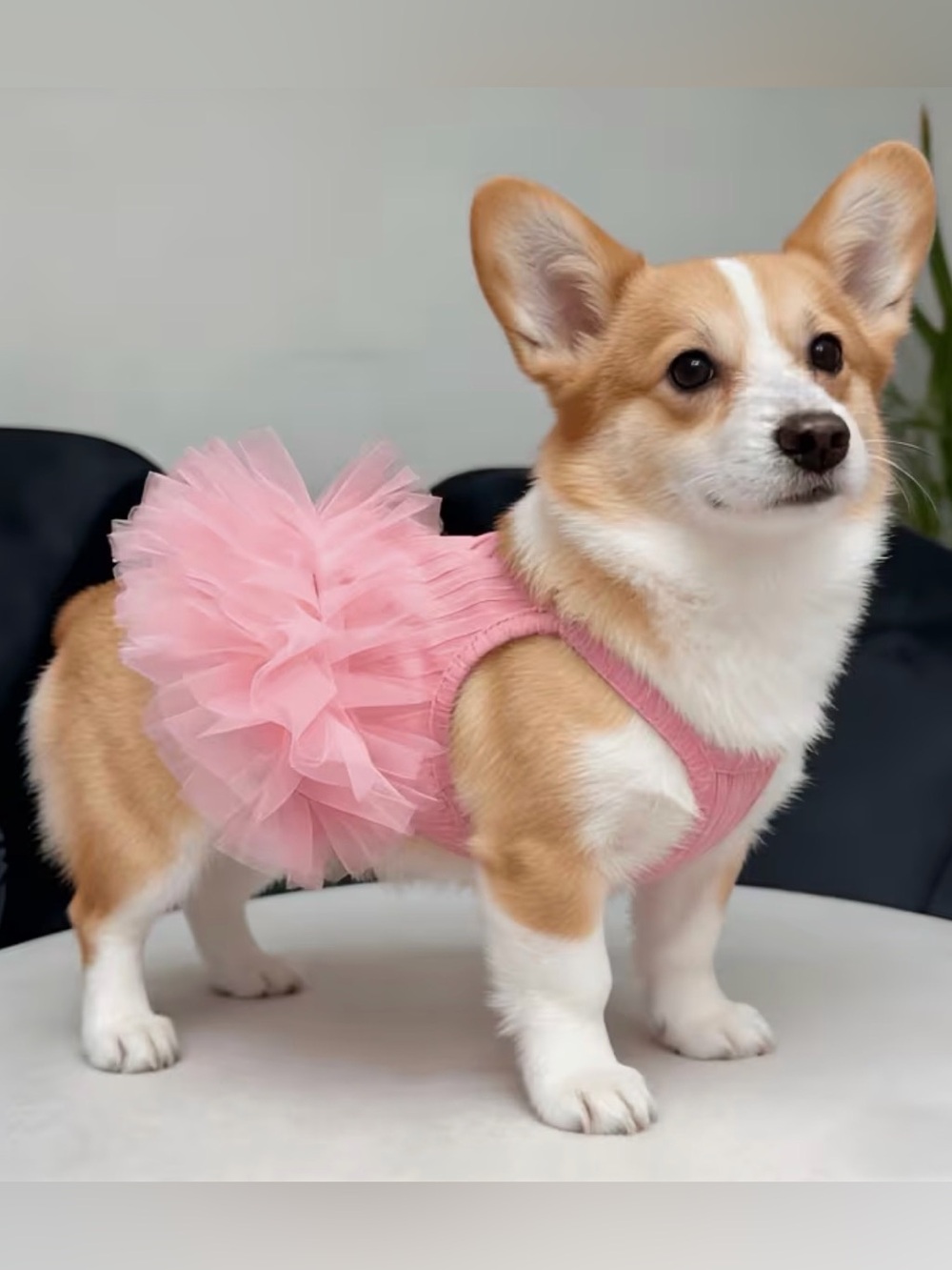 🛍️ 3 for $10 🛍️ Pink Tulle Pet Dress - Elegant Dog or Cat Sundress Tutu - Picture 4 of 10